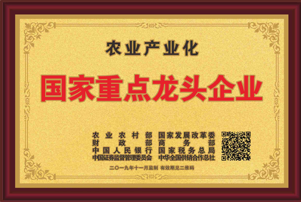 殊榮加身！湘豐茶業(yè)集團(tuán)再獲標(biāo)桿龍頭企業(yè)和優(yōu)勢特色產(chǎn)業(yè)30強等稱號
