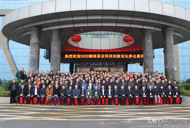2020湖南茶業(yè)科技創(chuàng)新論壇在新化縣召開(kāi)